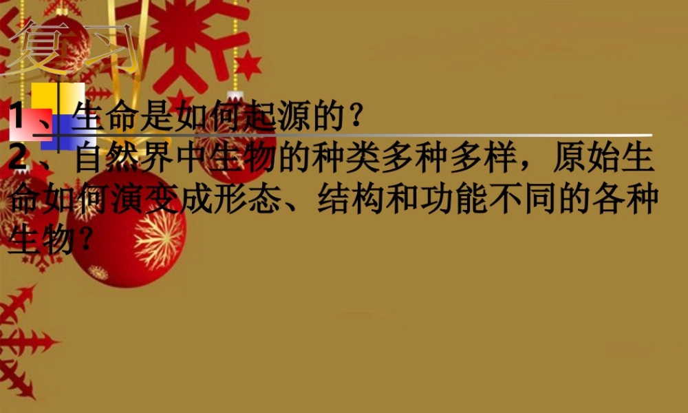 九年级科学下册 第五节  生物的进化复习课件 浙教版 课件