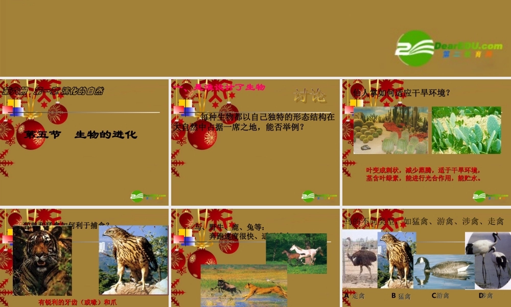 九年级科学下册 第五节  生物的进化复习课件 浙教版 课件