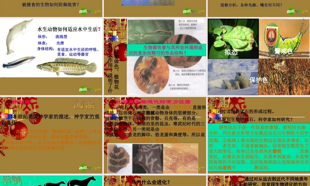 九年级科学下册 第五节  生物的进化复习课件 浙教版 课件