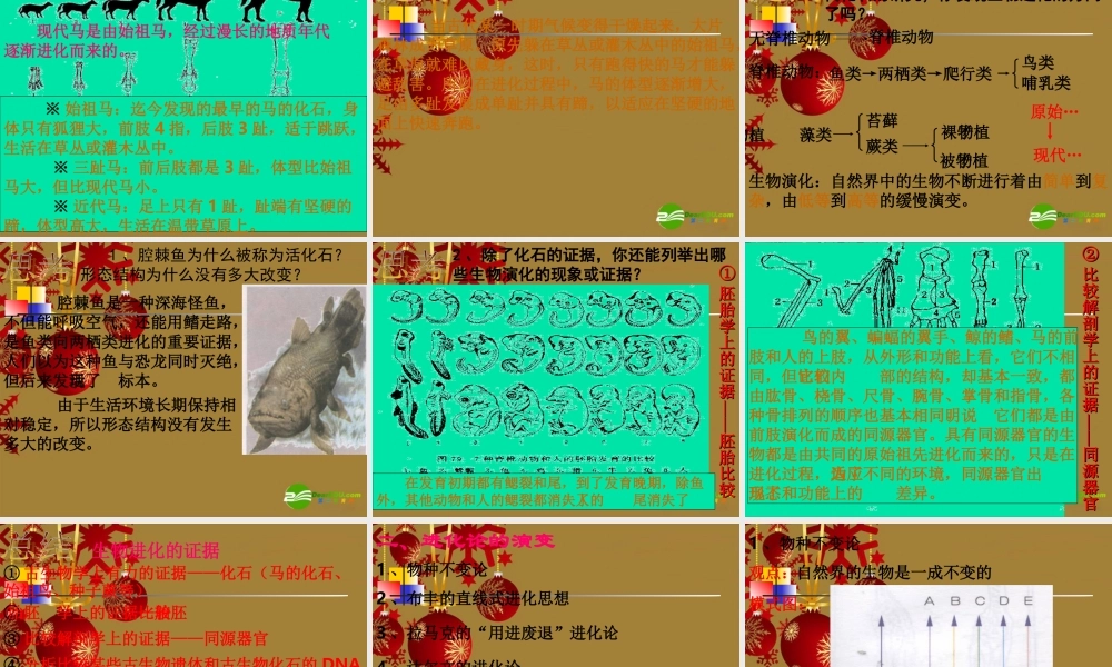 九年级科学下册 第五节  生物的进化复习课件 浙教版 课件