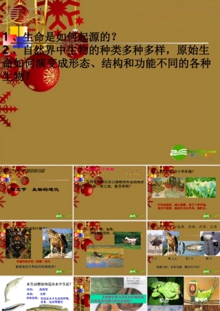 九年级科学下册 第五节  生物的进化复习课件 浙教版 课件