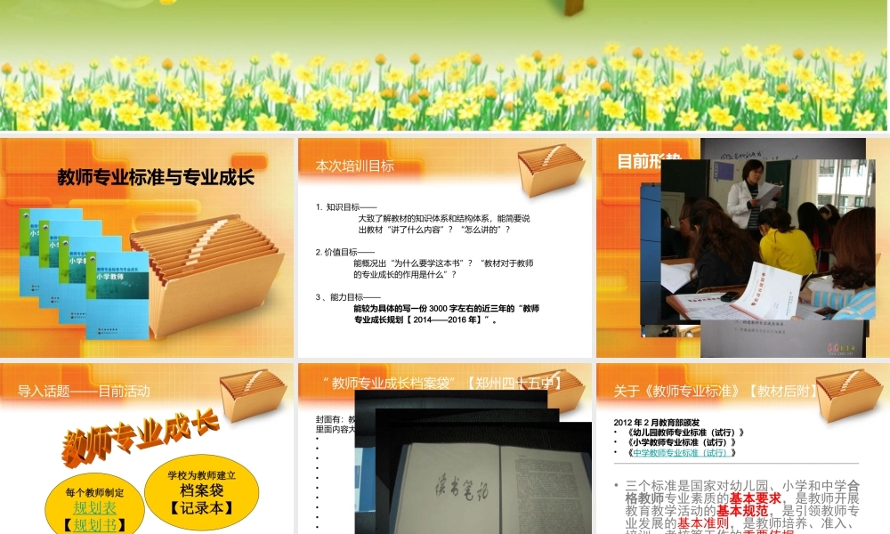 教师专业标准与专业成长