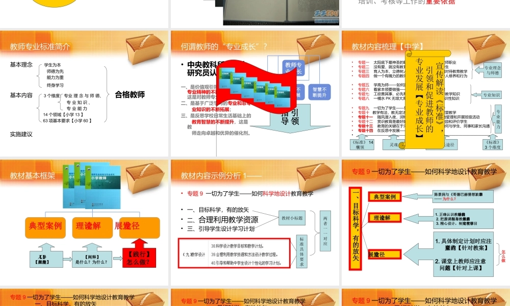 教师专业标准与专业成长