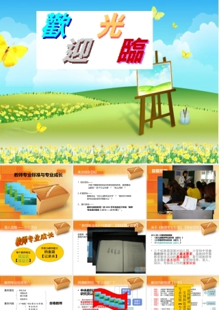 教师专业标准与专业成长