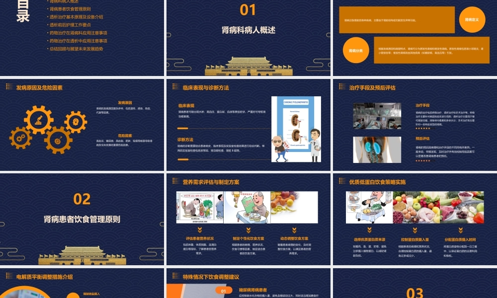 肾病科病人饮食管理与透析护理护理课件