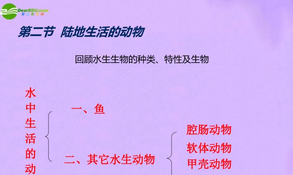 八年级生物上册 第二节，陆地上生活的动物第一课时课件 人教新课标版 课件