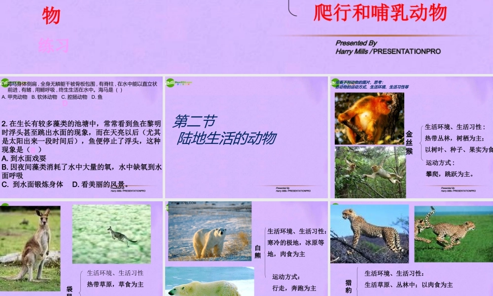 八年级生物上册 第二节，陆地上生活的动物第一课时课件 人教新课标版 课件