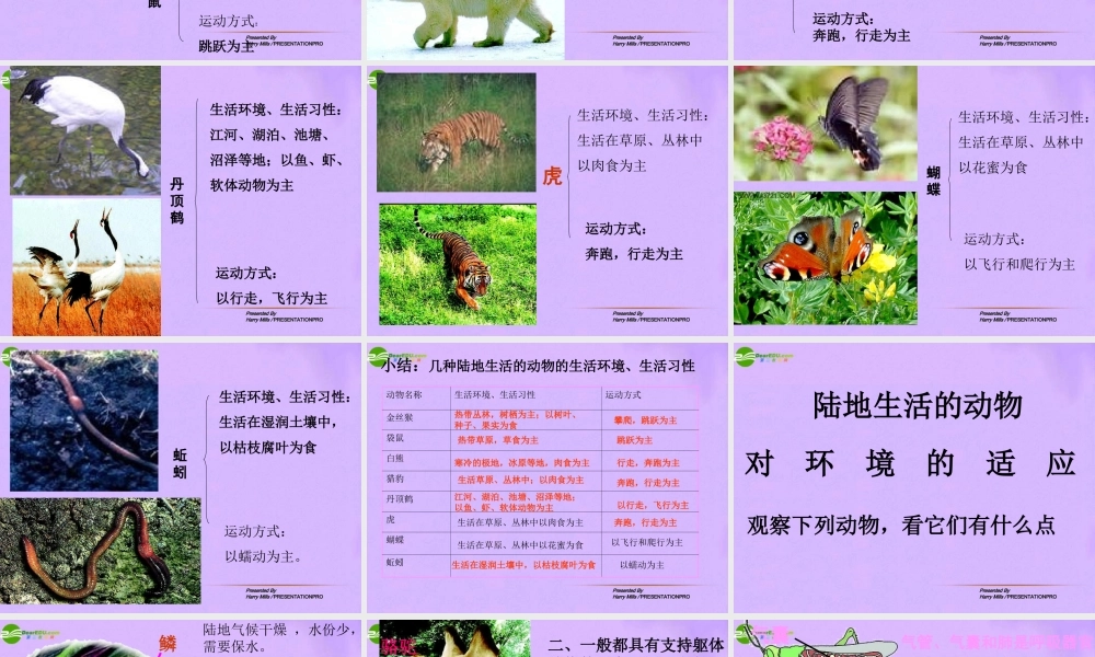 八年级生物上册 第二节，陆地上生活的动物第一课时课件 人教新课标版 课件