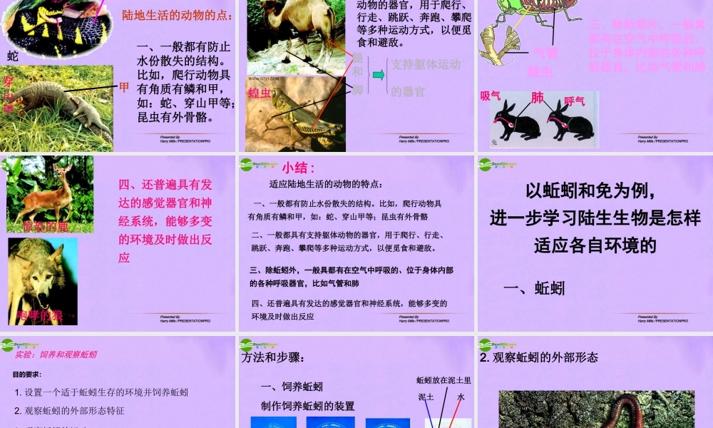 八年级生物上册 第二节，陆地上生活的动物第一课时课件 人教新课标版 课件