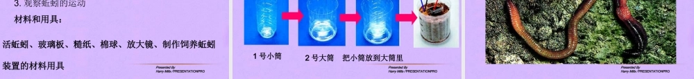 八年级生物上册 第二节，陆地上生活的动物第一课时课件 人教新课标版 课件