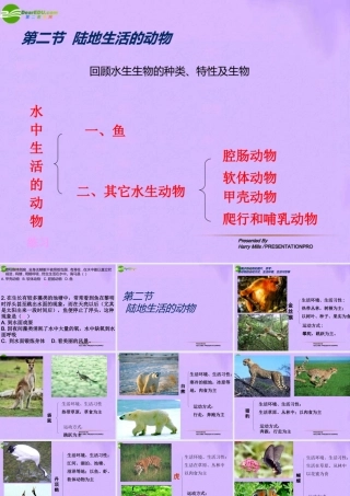 八年级生物上册 第二节，陆地上生活的动物第一课时课件 人教新课标版 课件