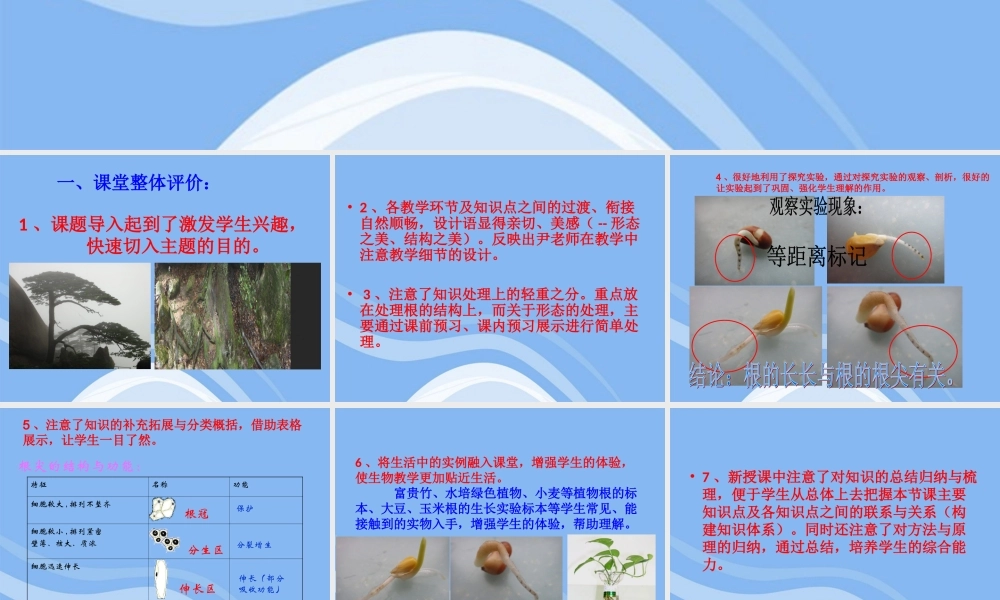 八年级生物 让生物课堂成为学生探究的主阵地课件