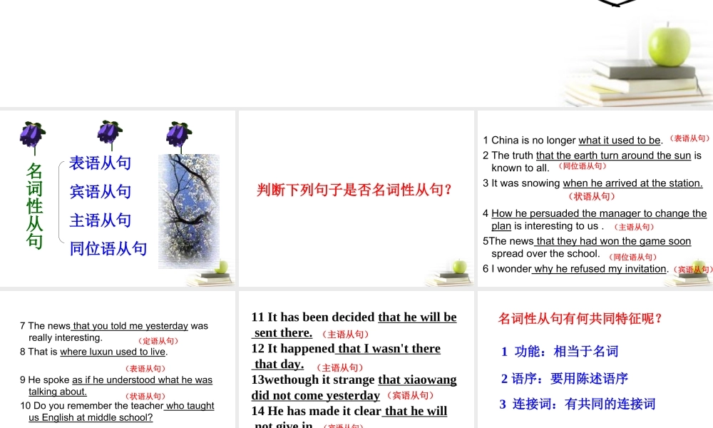 山东省阳信一中高三英语语法专项复习 名词性从句课件