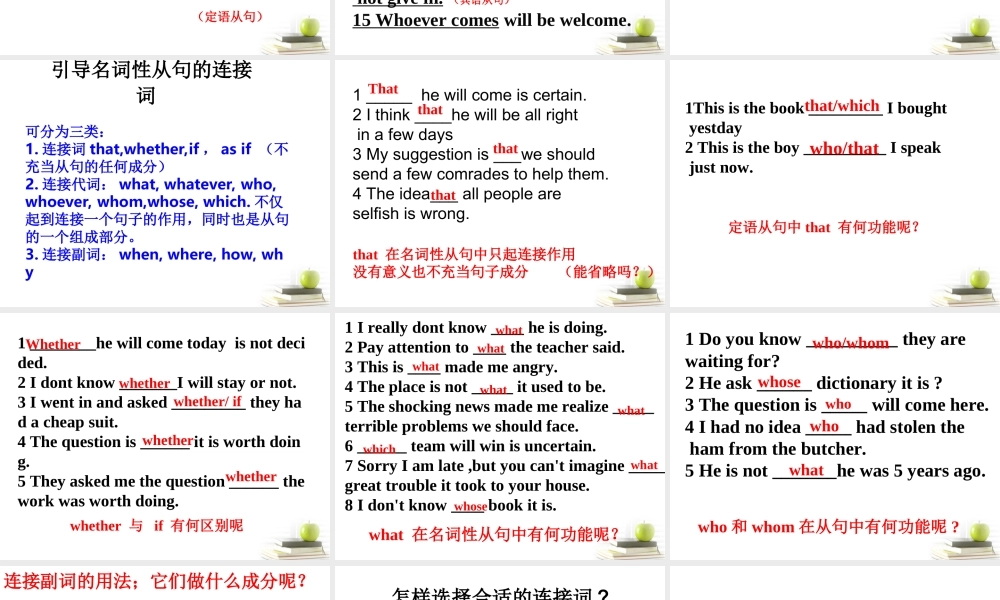 山东省阳信一中高三英语语法专项复习 名词性从句课件