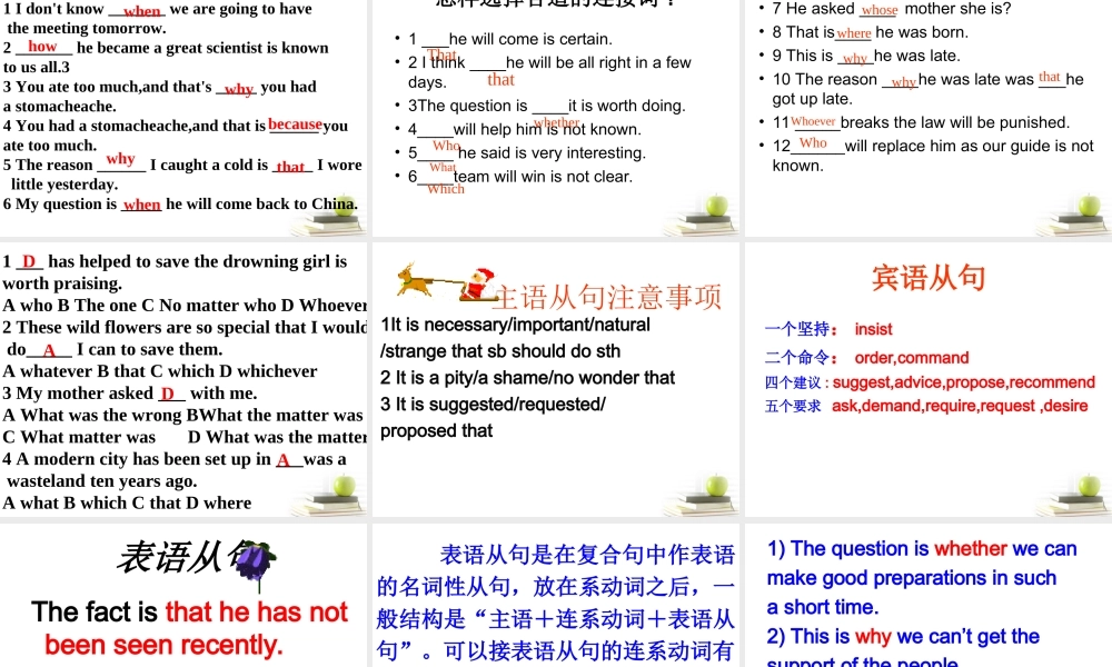 山东省阳信一中高三英语语法专项复习 名词性从句课件