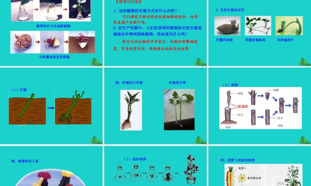 八年级生物下册 7.1.1 植物的生殖课件 八年级生物下册 7.1.1 植物的生殖课件+素材(新版)新人教版 八年级生物下册 7.1.1 植物的生殖课件+素材(新版)新人教版