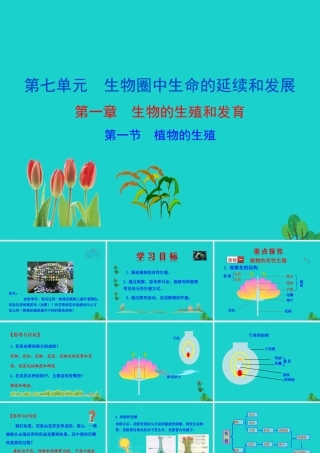 八年级生物下册 7.1.1 植物的生殖课件 八年级生物下册 7.1.1 植物的生殖课件+素材(新版)新人教版 八年级生物下册 7.1.1 植物的生殖课件+素材(新版)新人教版