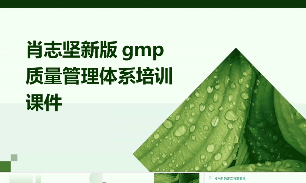 肖志坚新版GMP质量管理体系培训课件