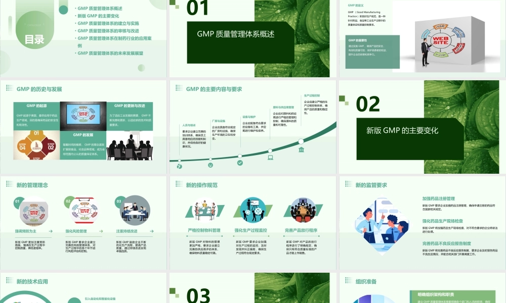 肖志坚新版GMP质量管理体系培训课件