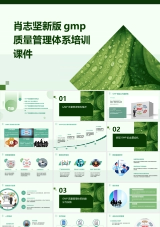 肖志坚新版GMP质量管理体系培训课件