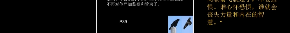 一只孤独的乌鸦