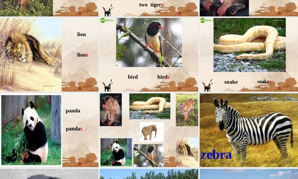 七年级英语上册 lesson 46课件 冀教版 课件