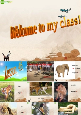 七年级英语上册 lesson 46课件 冀教版 课件