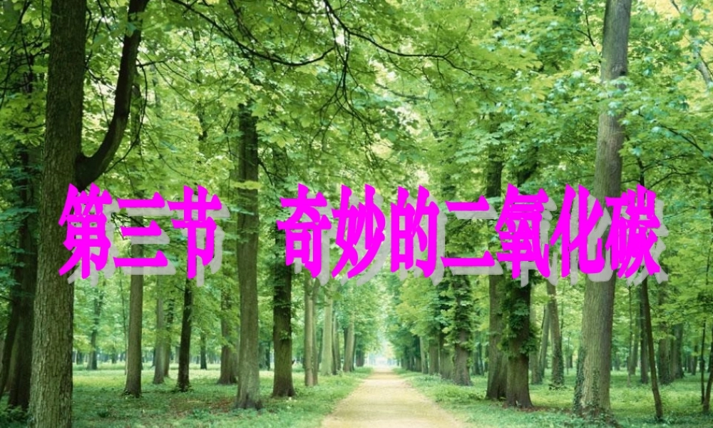 奇妙的二氧化碳 上教版 课件