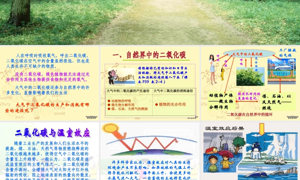 奇妙的二氧化碳 上教版 课件