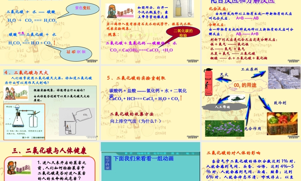 奇妙的二氧化碳 上教版 课件