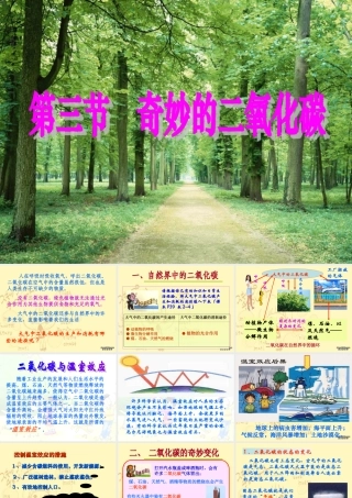 奇妙的二氧化碳 上教版 课件