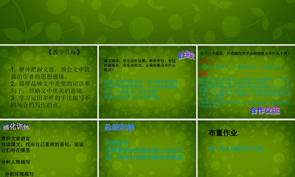 八年级语文下册 16 云南的歌会课件2 新人教版 课件