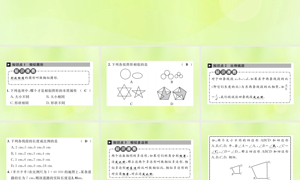 九年级数学下册 第二十七章 相似 271 图形的相似课件 (新版)新人教版 课件