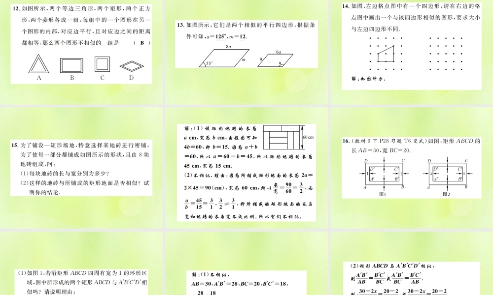 九年级数学下册 第二十七章 相似 271 图形的相似课件 (新版)新人教版 课件