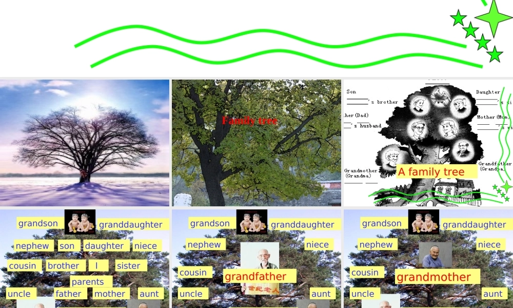 七年级英语Module4 Unit1 How many people are there in your family课件2 外研版 课件