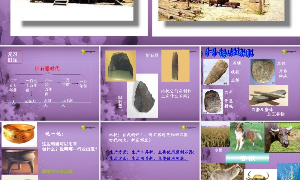 八年级历史与社会上册 第一单元第二课原始农业和先民的家园课件 人教版 课件