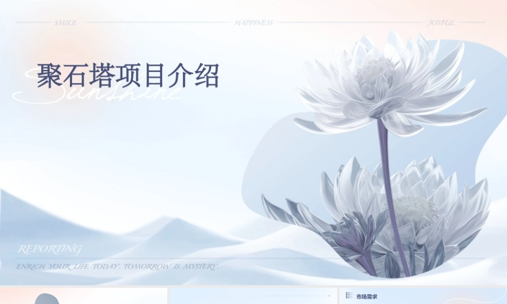 聚石塔项目介绍课件