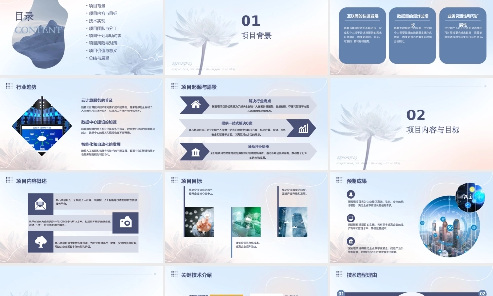聚石塔项目介绍课件