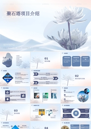 聚石塔项目介绍课件