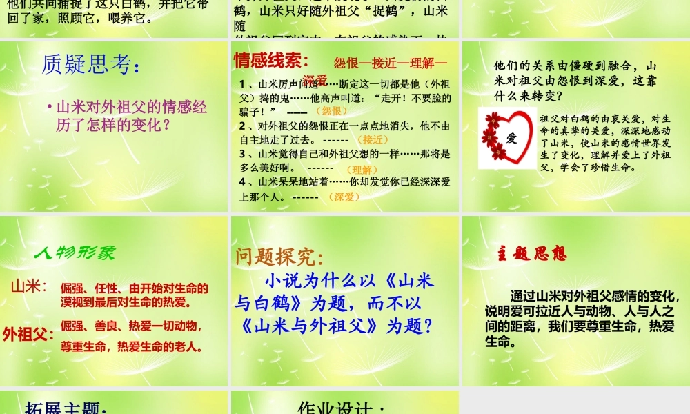 八年级语文上册(第16课 山米与白鹤)课件 语文版 课件