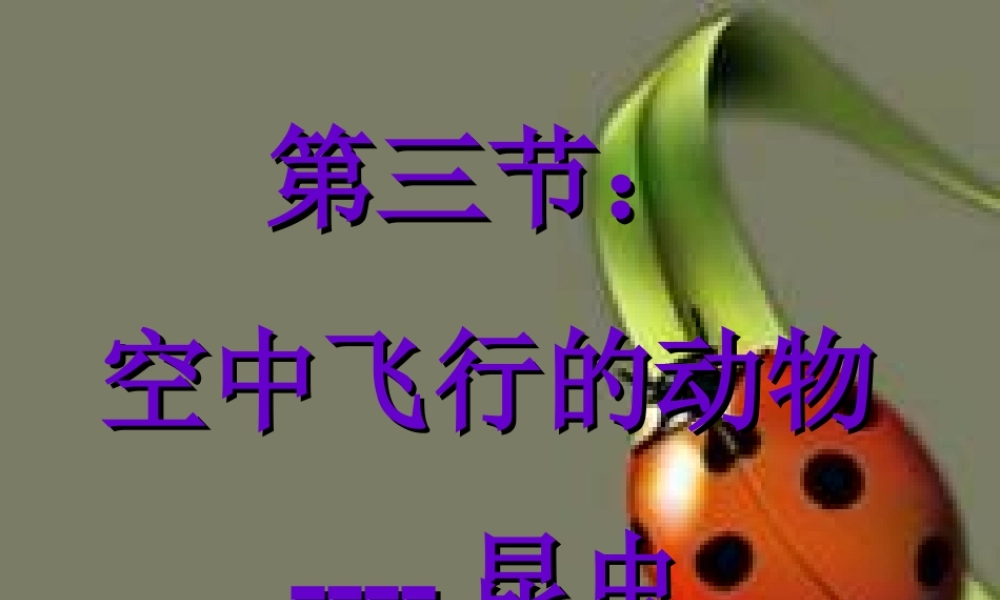 八年级上册空中飞行的动物-昆虫二 课件