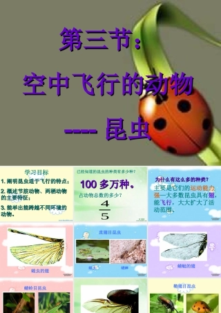 八年级上册空中飞行的动物-昆虫二 课件