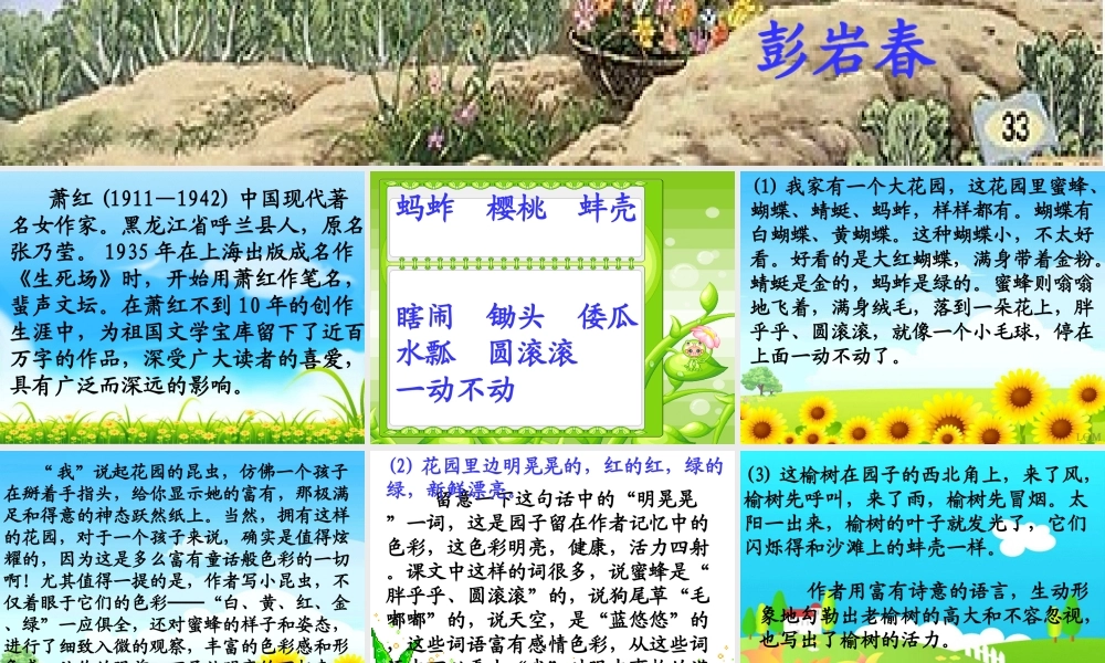 《祖父的园子》课件