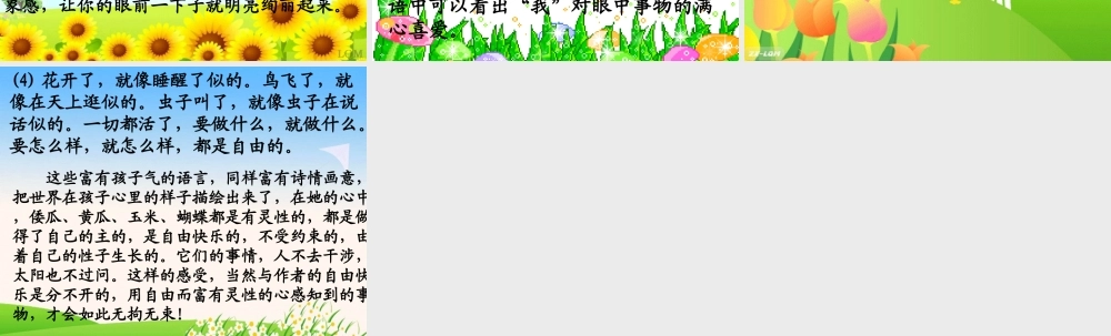 《祖父的园子》课件