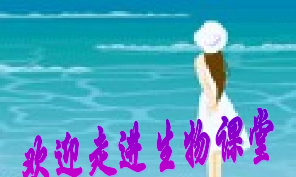 四血液循环课件