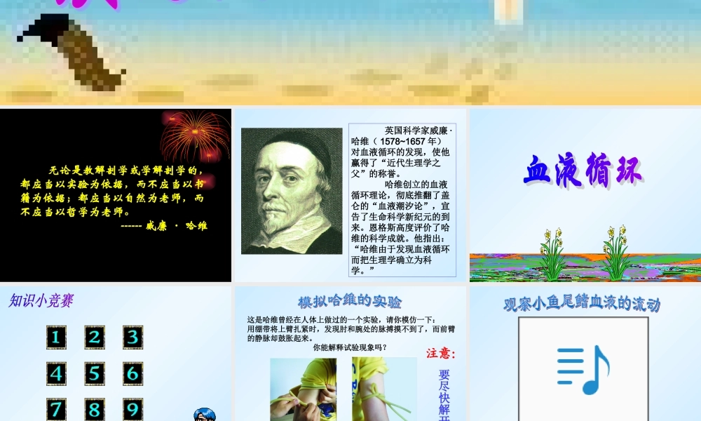 四血液循环课件