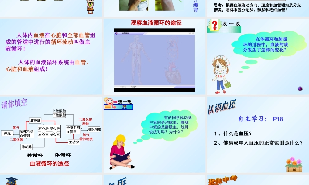 四血液循环课件