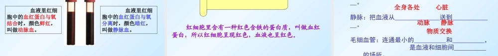 四血液循环课件