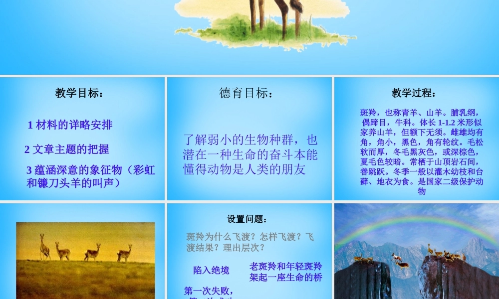 中学七年级语文下册 27 斑羚飞度课件2 新人教版 课件