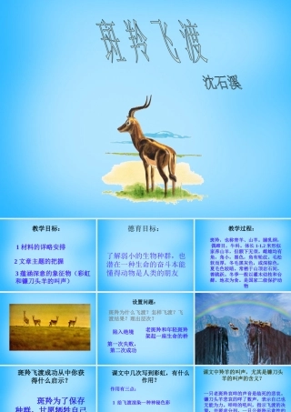 中学七年级语文下册 27 斑羚飞度课件2 新人教版 课件